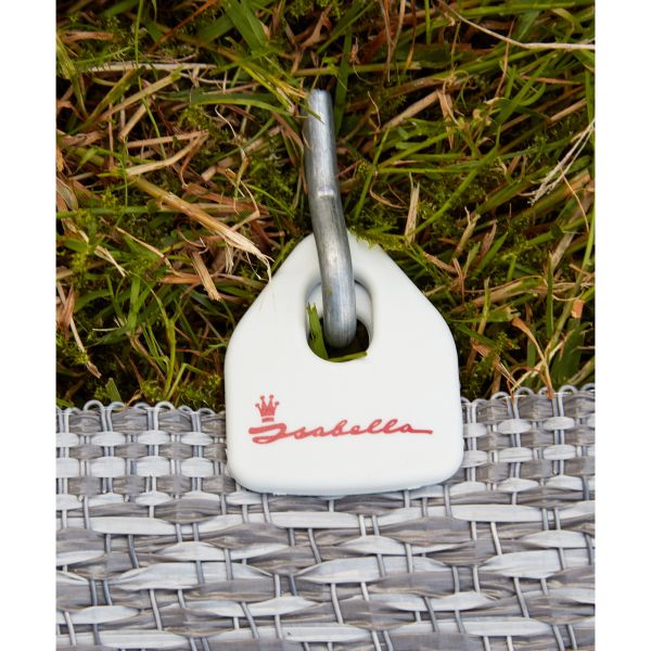 Befestigungsclips IsaGrip für Vorzeltteppiche, 4 Stück