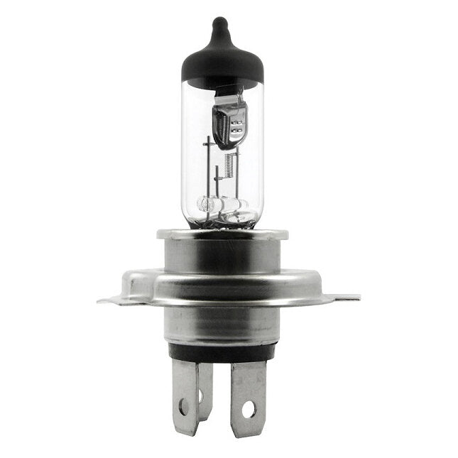 Halogenbirnen 12V 60/55W Base P43t Standard